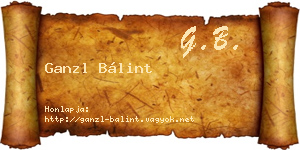Ganzl Bálint névjegykártya